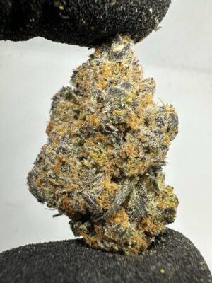 Cherry Pie Weed