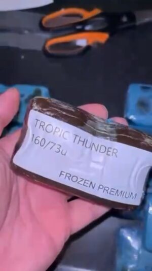 12 - #2 TROPICTHUNDER 160/73u